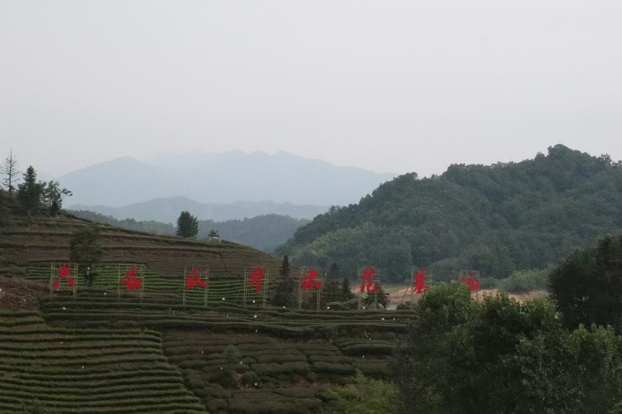 س푲Vl(xing)dƪ