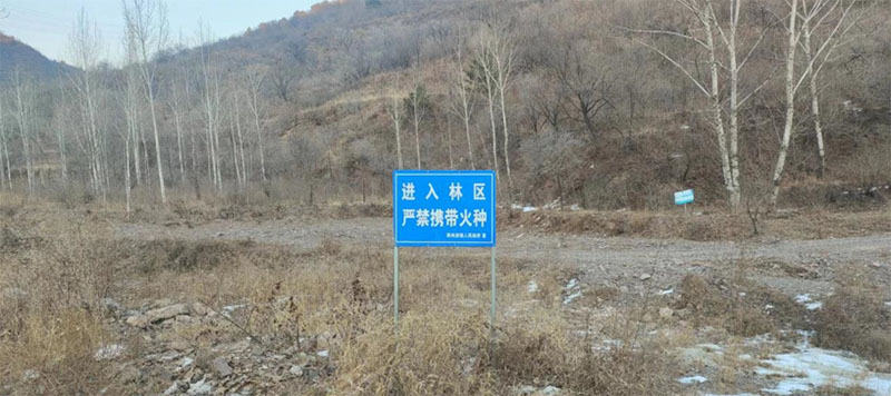 l(xing)dO(sh)l(xing)dW(xu)̌W(xu)Ժl(xing)d`ϵЈ