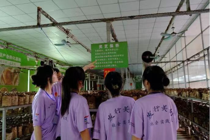 wߪq鏊(qing)ӣ֥