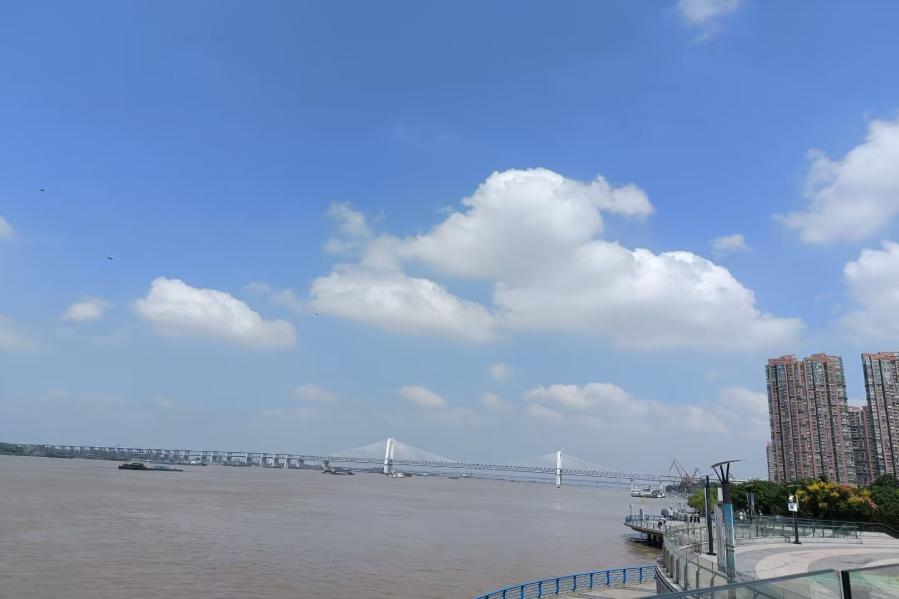 橋
